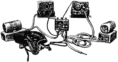 Click for larger view of Plate 55